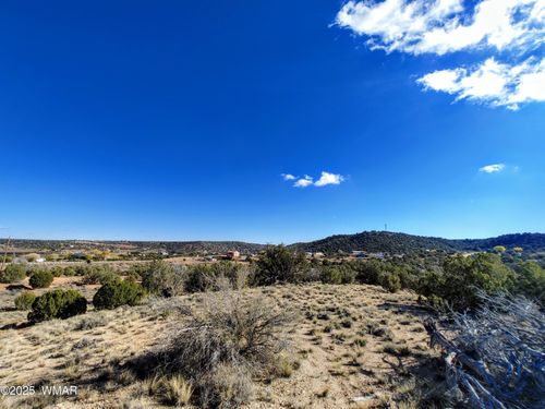 Parcel 1 W Shumway Rd, Taylor, AZ, 85939 | Card Image
