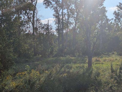 N/A Andrews Rd, Tawas City, MI, 48763 | Card Image