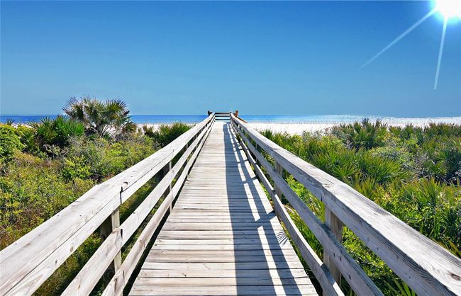 Walkway to Paradise! | Image 95