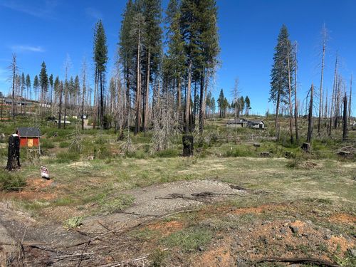 5154 Evergreen Drive, Grizzly Flats, CA, 95636 | Card Image