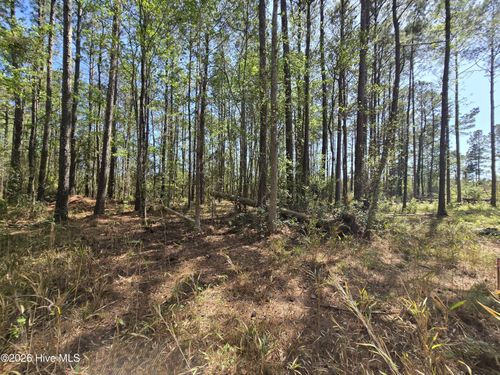 Lot B Renee Drive, Hampstead, NC, 28443 | Card Image