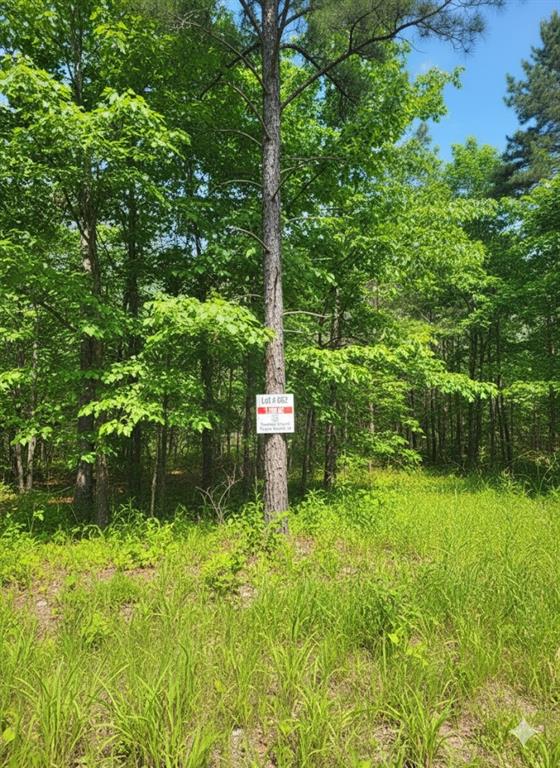 Land in Broken Bow 3