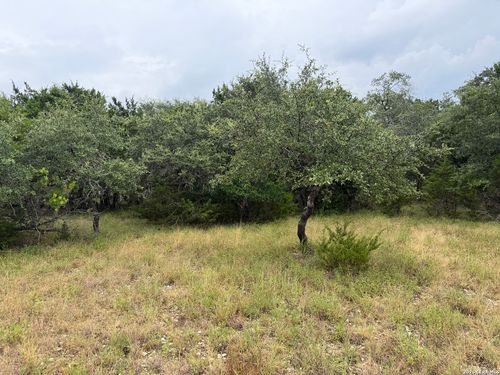 197 Rosenberry, Bulverde, TX, 78163-1783 | Card Image