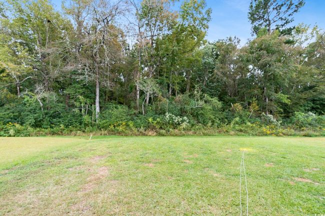 View of yard | Image 30