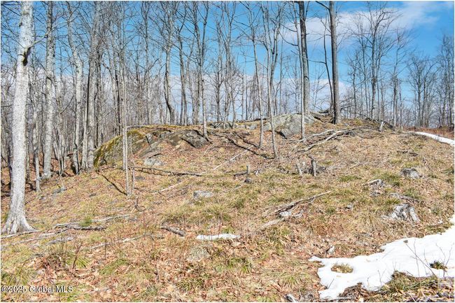 48 Durkin Rd, Home with 0 bedrooms, 0 bathrooms and null parking in North Creek NY | Image 58