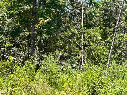 000 Foxfield Rd, Mammoth Spring, AR, 72554 | Card Image