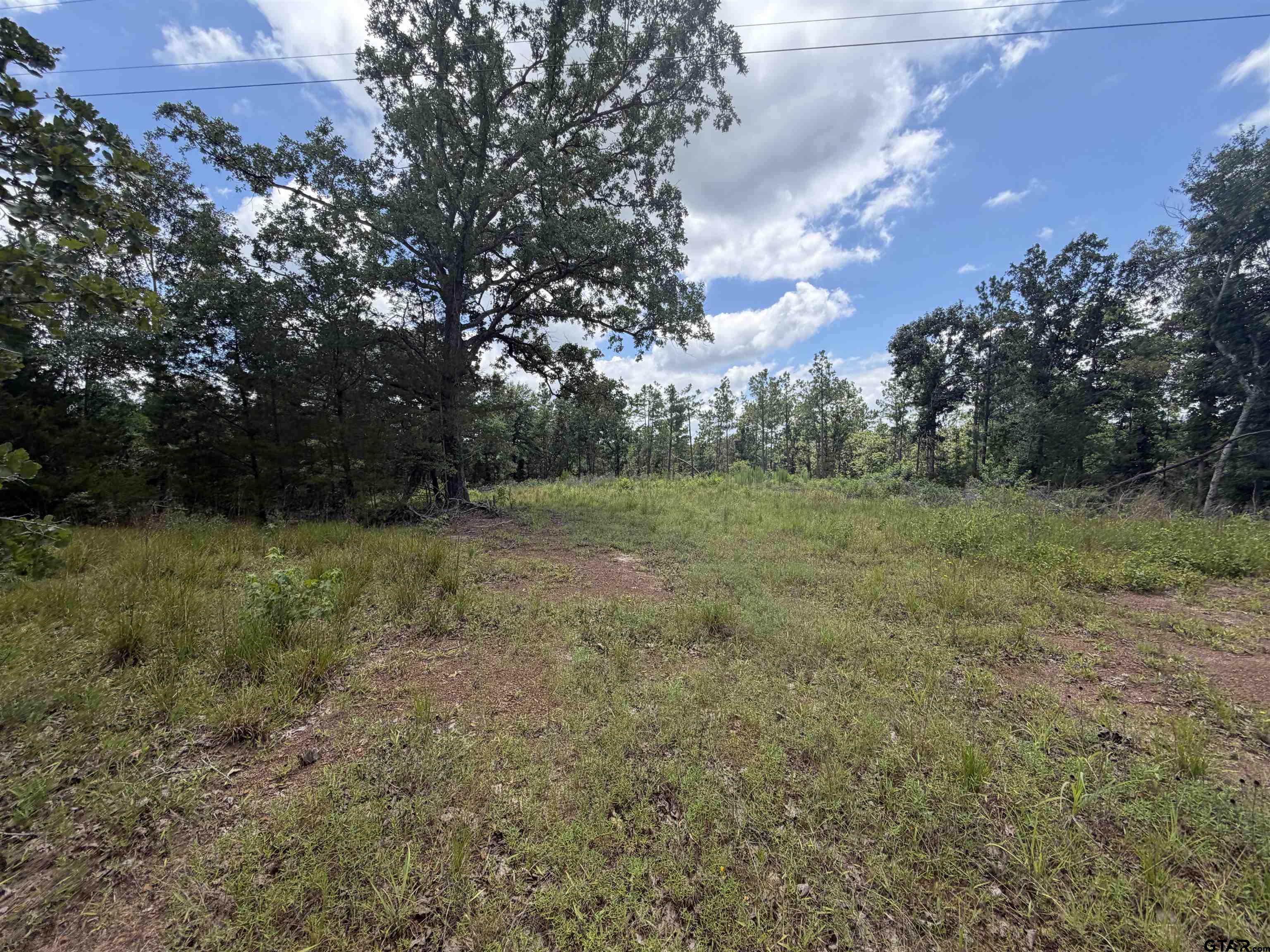 Land in Rusk 3
