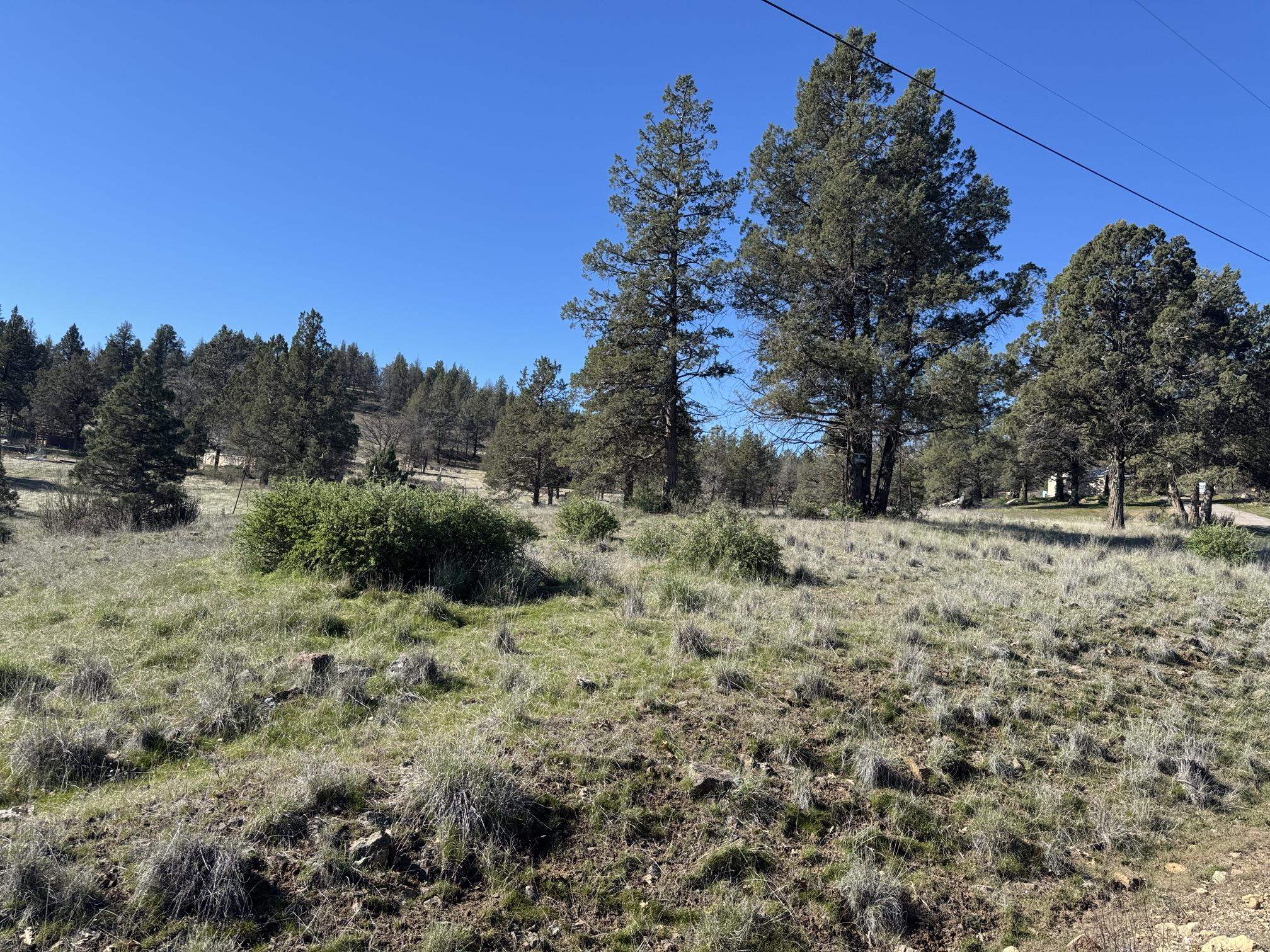 Land in Montague 3