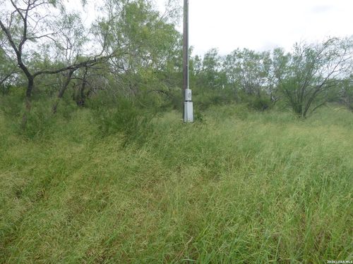 4253 E Fm 462, Moore, TX, 78057 | Card Image