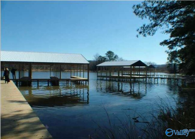 331 John Cabaniss Rd, Home with 0 bedrooms, 0 bathrooms and null parking in Langston AL | Image 7