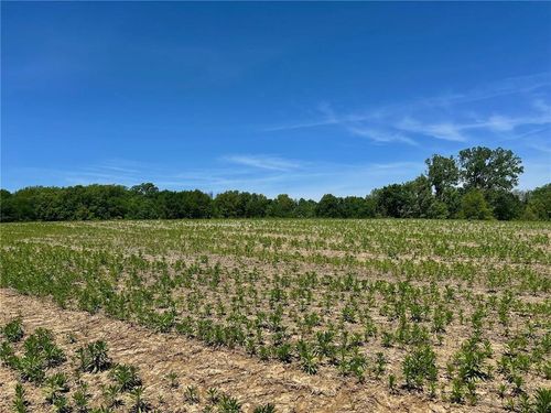 34914 E Colbern Rd, Lone Jack, MO, 64070-9577 | Card Image