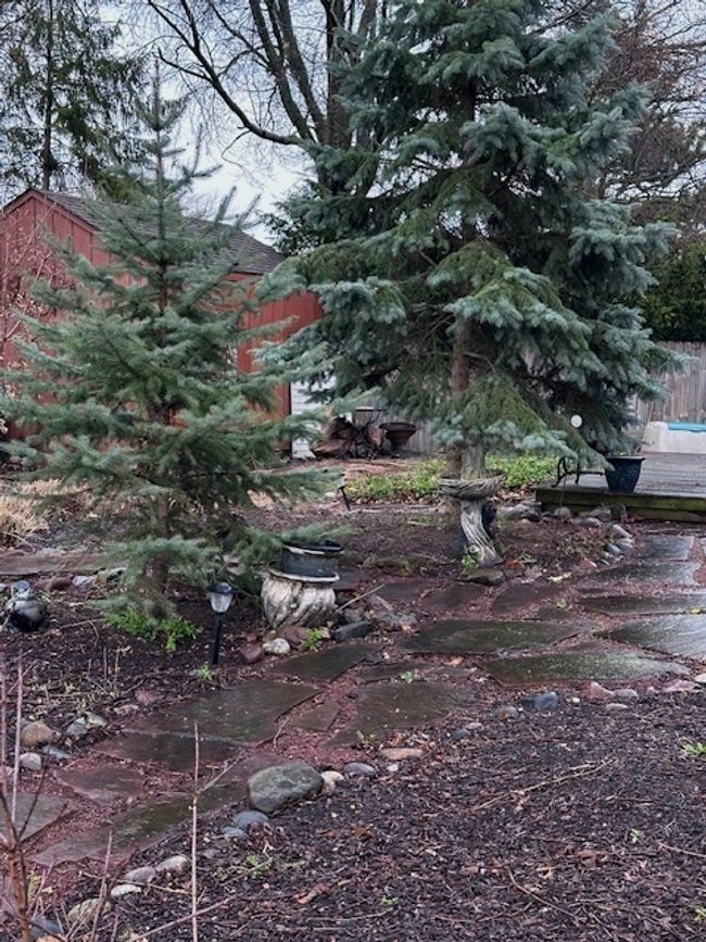 25002 W Mary Ln, House other with 3 bedrooms, 3 bathrooms and 2 parking in Plainfield IL | Image 29