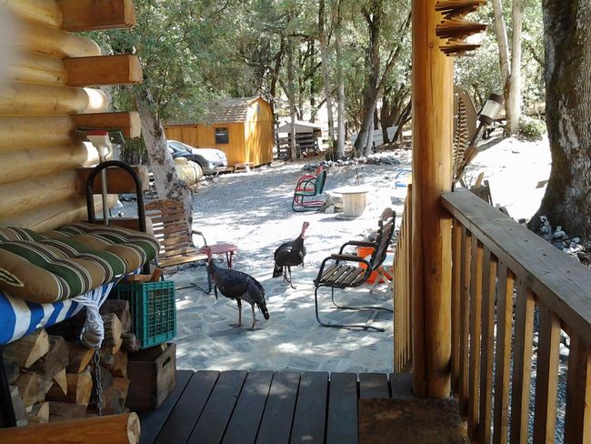 9110 Hidden Valley Rd, House other with 1 bedrooms, 1 bathrooms and null parking in Mountain Ranch CA | Image 39