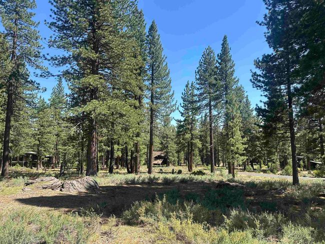11651 Bottcher Loop, Home with 0 bedrooms, 0 bathrooms and null parking in Truckee CA | Image 5
