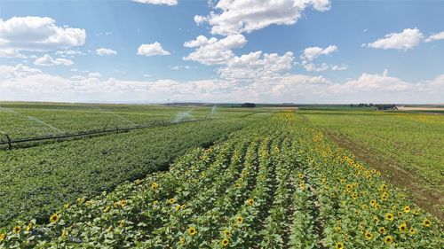 Tract 5 (81 Acres) Churchill Road, Churchill, MT, 59741 | Card Image