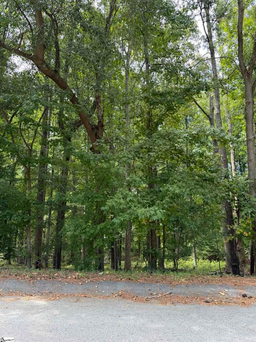 340 Valley View Drive, Woodruff, SC, 29388 | Card Image