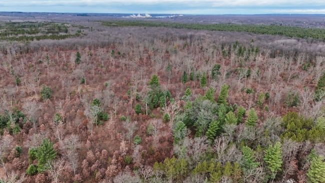3726 N Custer Rd, Home with 0 bedrooms, 0 bathrooms and null parking in Manistee MI | Image 14