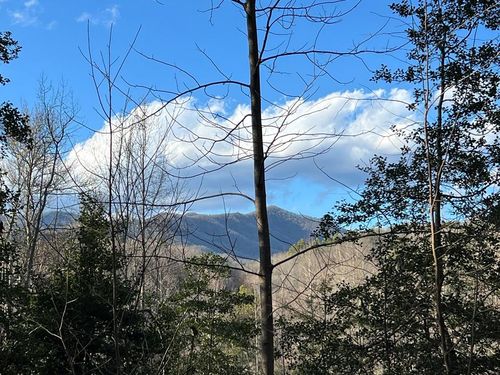 Lot 45 Tusquittee Xing, Hayesville, NC, 28904 | Card Image