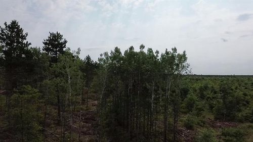 22XX Tomahawk Lake Rd, Solon Springs, WI, 54873 | Card Image