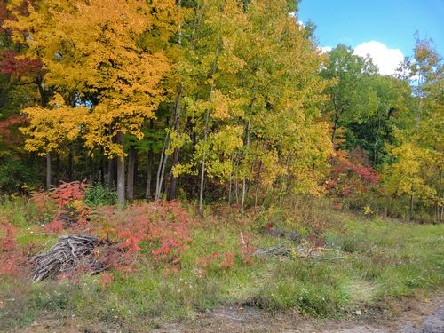 74016 Ridgeway, Lawton, MI, 49065-9273 | Card Image