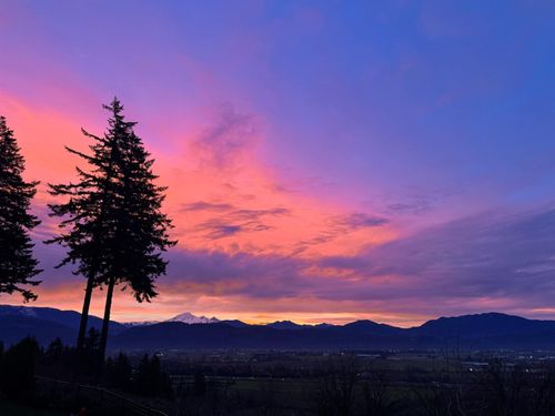 72-35287 Old Yale Rd, Abbotsford, BC, V3G8H5 | Card Image