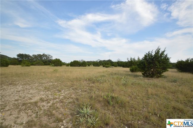 17426 N Highway 183, Home with 0 bedrooms, 0 bathrooms and null parking in Lometa TX | Image 10