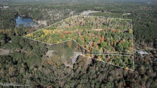 36 +/- Acres Placid Drive, Sumrall, MS, 39482 | Card Image