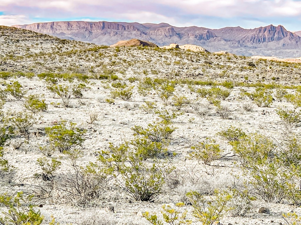 Land in Terlingua 3