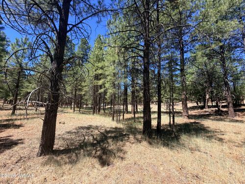 2124 Antelope Way, Happy Jack, AZ, 86024 | Card Image
