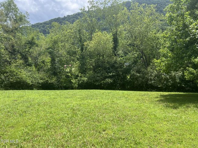 3911 Tate Springs Rd, House other with 3 bedrooms, 2 bathrooms and null parking in Big Stone Gap VA | Image 28