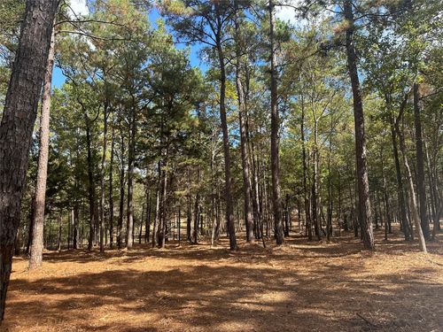 751 Red Hollow, Leggett, TX, 77350 | Card Image