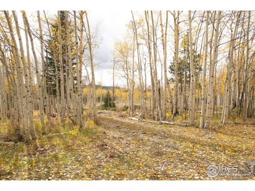 411 Tesuque Trl, Red Feather Lakes, CO, 80545 | Card Image