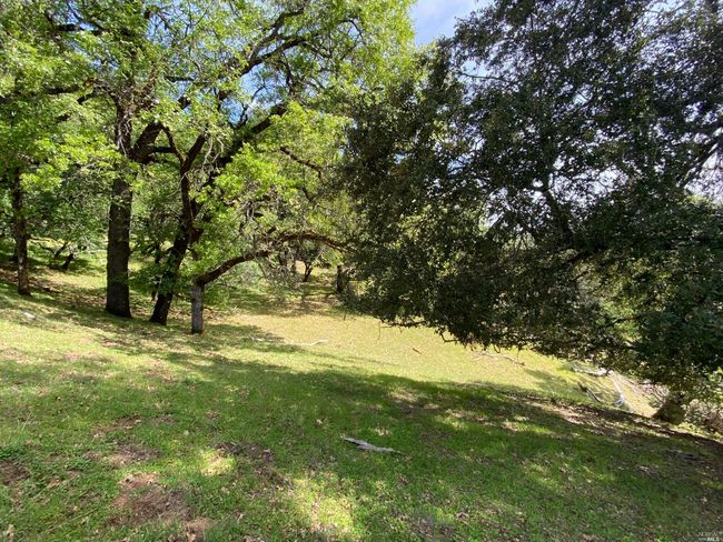 19010 Hulbert Rd, Home with 0 bedrooms, 0 bathrooms and null parking in Yorkville CA | Image 16