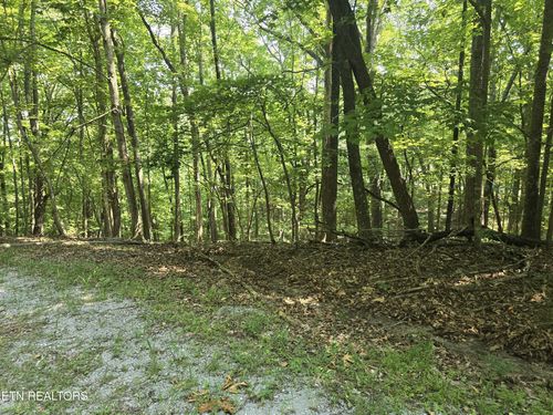 16 Trentwood Ter, Crossville, TN, 38558 | Card Image
