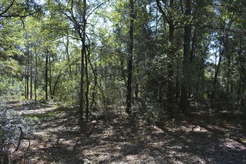 xxx 32 ac. Aplin Road, Crestview, FL, 32539 | Card Image