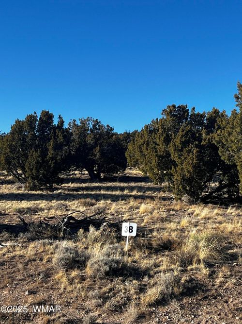 38 8626, Concho, AZ, 85924 | Card Image