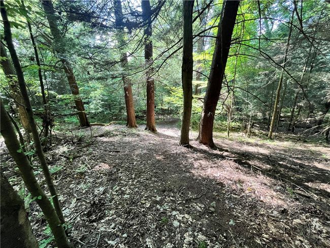 500 Seneca Hemlock Rd, House other with 3 bedrooms, 4 bathrooms and 3 parking in Kennerdell PA | Image 43