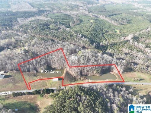 521-acres-5.21acres County Road 61, Roanoke, AL, 36274 | Card Image