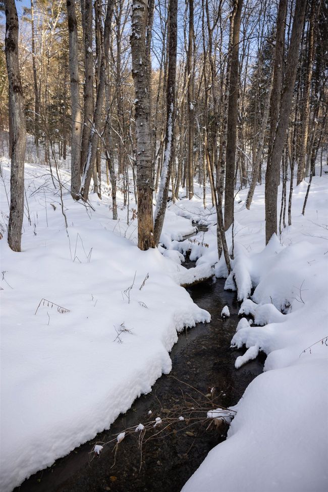 5000 Route 106, Home with 0 bedrooms, 0 bathrooms and null parking in Reading VT | Image 11