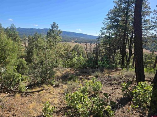147 Cat Creek Overlook, Pagosa Springs, CO, 81147 | Card Image