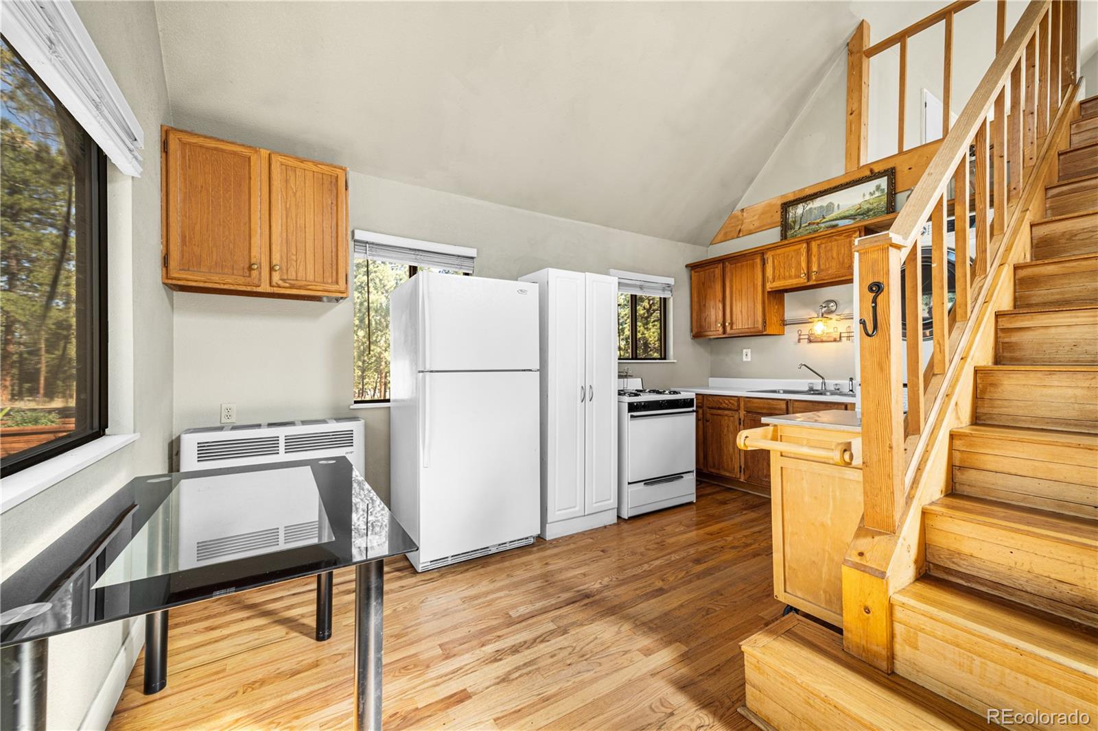 Residential in Westcliffe 3