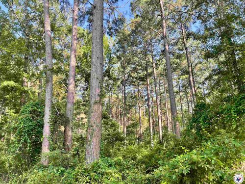 TBD County Road 1112, Atlanta, TX, 75551 | Card Image