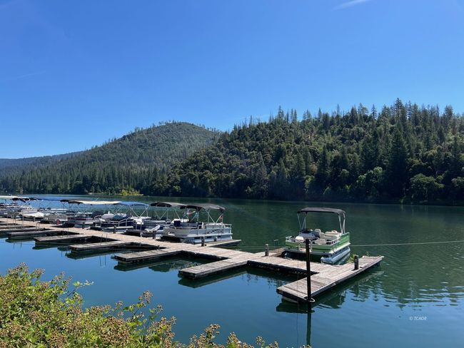 Boats in Slips | Image 8