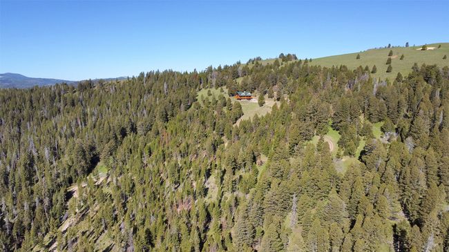 Aerial view of property's location with a heavily wooded area | Image 73