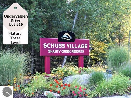 29 Undervalden Dr, Bellaire, MI, 49615 | Card Image