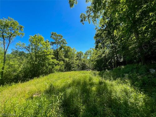 0 County Road 17, Rayland, OH, 43943 | Card Image