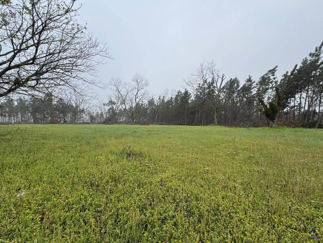 0 Smyrna Road, Home with 0 bedrooms, 0 bathrooms and null parking in Uvalda GA | Image 7