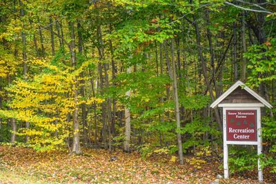 I22 Faye Boyden Road, Home with 0 bedrooms, 0 bathrooms and null parking in Wardsboro VT | Image 2