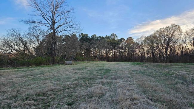 299 County Road 417, House other with 4 bedrooms, 4 bathrooms and null parking in Rector AR | Image 30