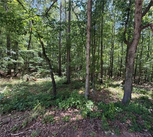 0 Oriole Cir, Monticello, GA, 31064 | Card Image